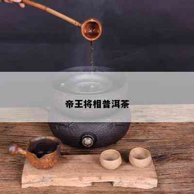 帝王将相普洱茶