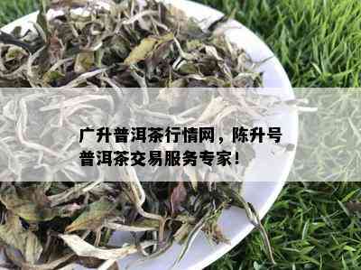 广升普洱茶行情网，陈升号普洱茶交易服务专家！