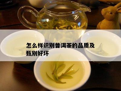 怎么样识别普洱茶的品质及甄别好坏