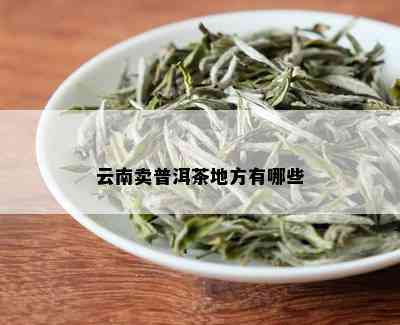 云南卖普洱茶地方有哪些