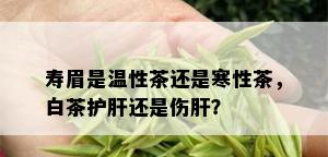 寿眉是温性茶还是寒性茶，白茶护肝还是伤肝？