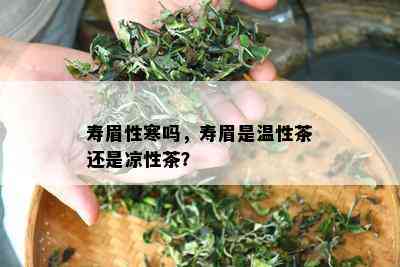 寿眉性寒吗，寿眉是温性茶还是凉性茶？