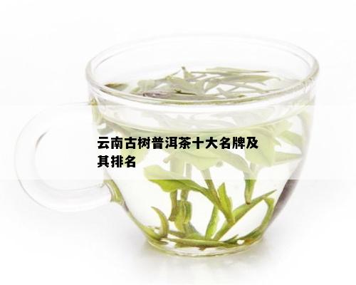 云南古树普洱茶十大名牌及其排名