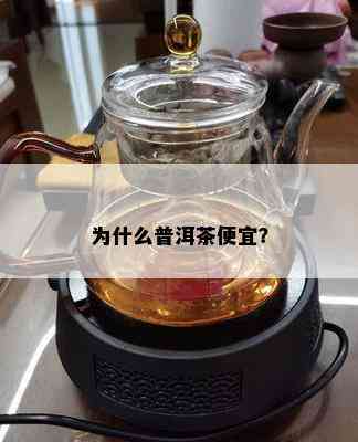 为什么普洱茶便宜？