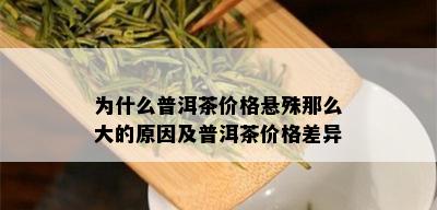 为什么普洱茶价格悬殊那么大的原因及普洱茶价格差异