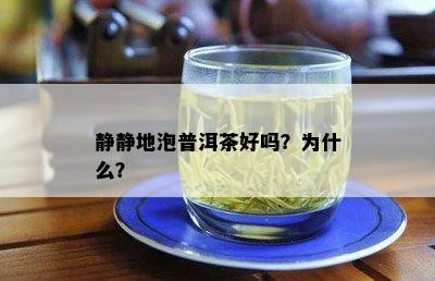 静静地泡普洱茶好吗？为什么？