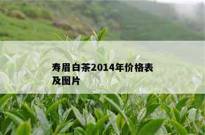 寿眉白茶2014年价格表及图片