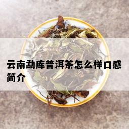 云南勐库普洱茶怎么样口感简介