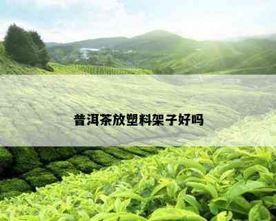 普洱茶放塑料架子好吗