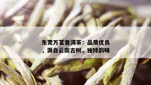 东莞万茗普洱茶：品质优良，源自云南古树，独特韵味