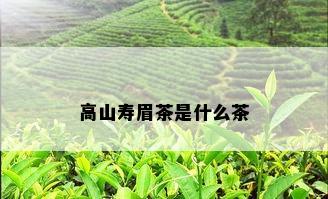 高山寿眉茶是什么茶