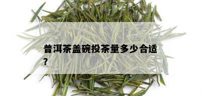 普洱茶盖碗投茶量多少合适？