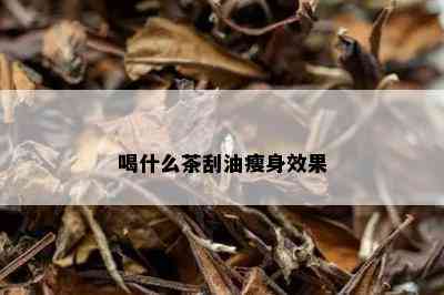 喝什么茶刮油瘦身效果