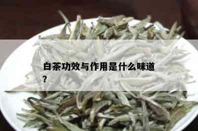 白茶功效与作用是什么味道？