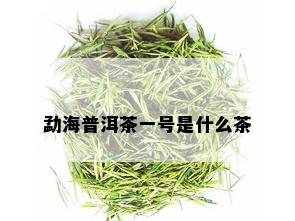 勐海普洱茶一号是什么茶