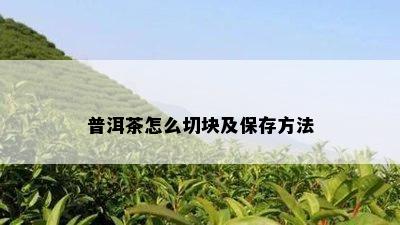 普洱茶怎么切块及保存方法