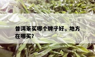 普洱茶买哪个牌子好，地方在哪买？