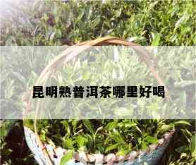 昆明熟普洱茶哪里好喝