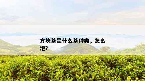 方块茶是什么茶种类，怎么泡？