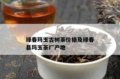 绿春玛玉古树茶价格及绿春县玛玉茶厂产地