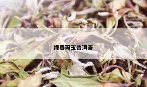 绿春玛玉普洱茶