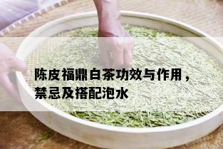 陈皮福鼎白茶功效与作用，禁忌及搭配泡水