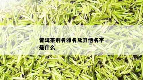 普洱茶别名雅名及其他名字是什么