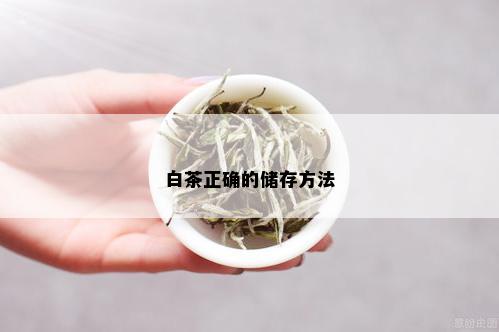 白茶正确的储存方法