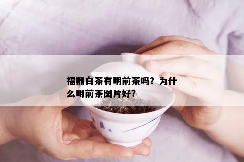 福鼎白茶有明前茶吗？为什么明前茶图片好？