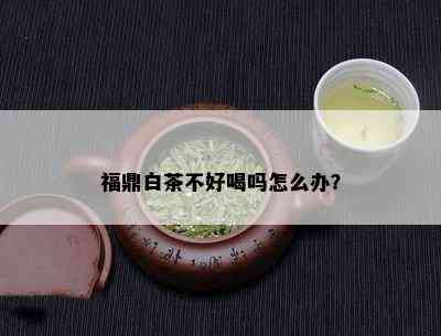 福鼎白茶不好喝吗怎么办？