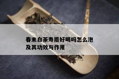 春末白茶寿眉好喝吗怎么泡及其功效与作用