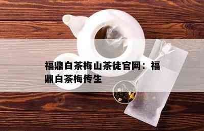 福鼎白茶梅山茶徒官网：福鼎白茶梅传生