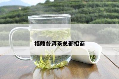 福鼎普洱茶总部招商