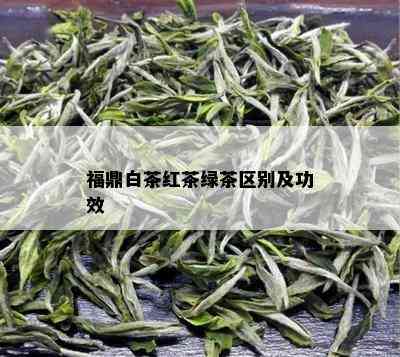 福鼎白茶红茶绿茶区别及功效