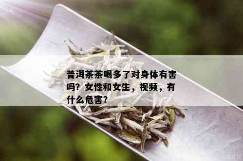 普洱茶茶喝多了对身体有害吗？女性和女生，视频，有什么危害？