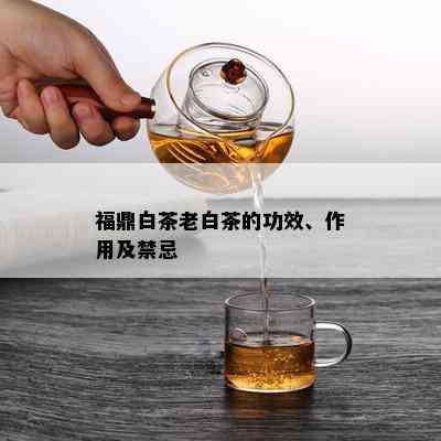 福鼎白茶老白茶的功效、作用及禁忌