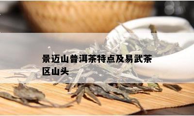 景迈山普洱茶特点及易武茶区山头