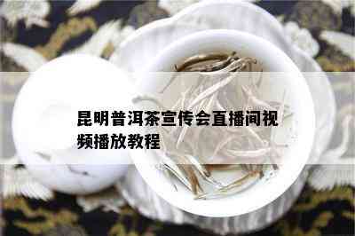 昆明普洱茶宣传会直播间视频播放教程