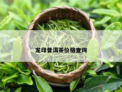 龙印普洱茶价格查询