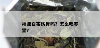 福鼎白茶伤胃吗？怎么喝养胃？