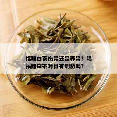 福鼎白茶伤胃还是养胃？喝福鼎白茶对胃有 *** 吗？