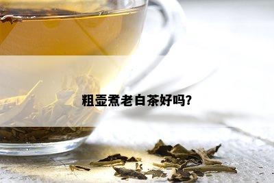 粗壶煮老白茶好吗？