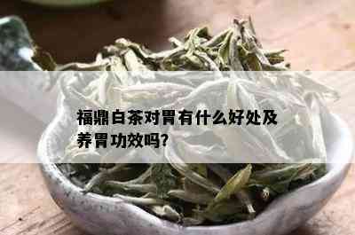 福鼎白茶对胃有什么好处及养胃功效吗？