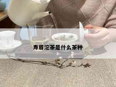 寿眉沱茶是什么茶种