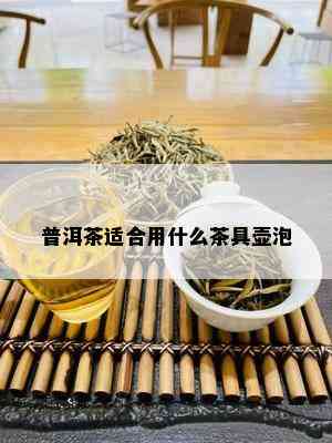 普洱茶适合用什么茶具壶泡