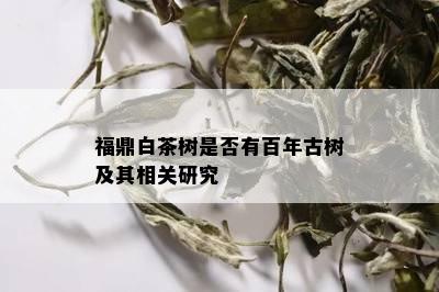 福鼎白茶树是否有百年古树及其相关研究