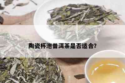 陶瓷杯泡普洱茶是否适合？