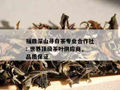 福鼎深山寻白茶专业合作社: 世界顶级茶叶供应商，品质保证