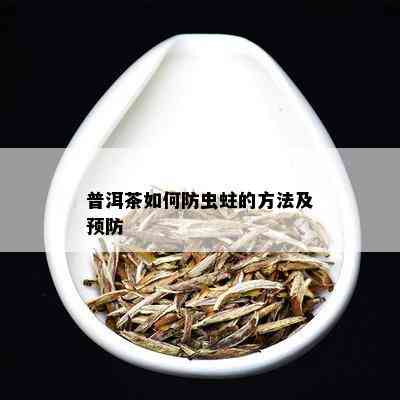 普洱茶如何防虫蛀的方法及预防