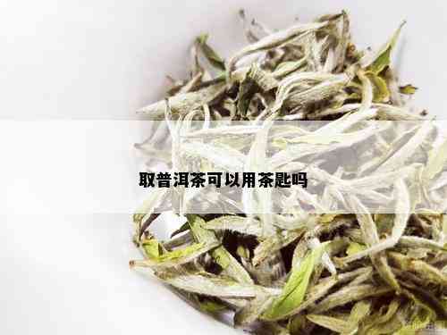 取普洱茶可以用茶匙吗